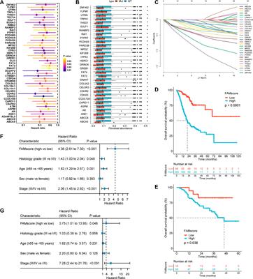 A Genomic Signature Reflecting Fibroblast Infiltration Into Gastric Cancer Is Associated With Prognosis and Treatment Outcomes of Immune Checkpoint Inhibitors